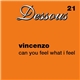 Vincenzo - Can You Feel What I Feel